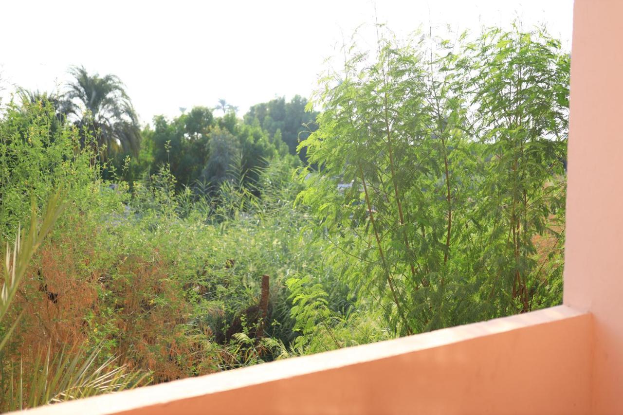 Luxor Nile View Flats Daire Dış mekan fotoğraf